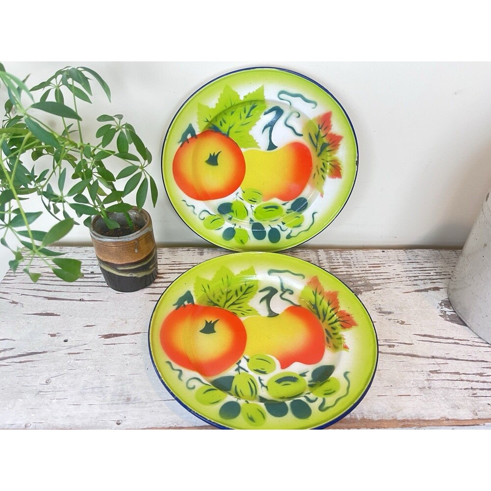 Vintage Graniteware Plates (Set Of 2) Fruit Design Farmhouse Kitchen Decor Retro